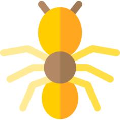 Ant
