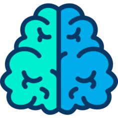 Brain