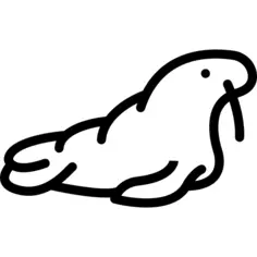 Walrus