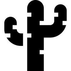 仙人掌