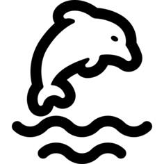 海豚