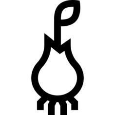 Root