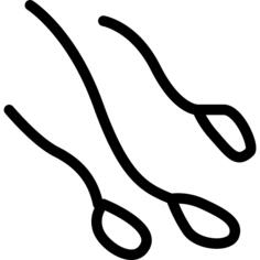 Sperm
