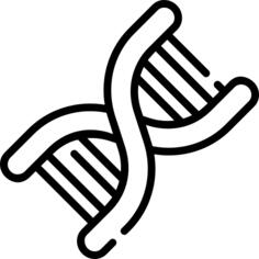 脱氧核糖核酸