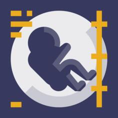 Pregnancy