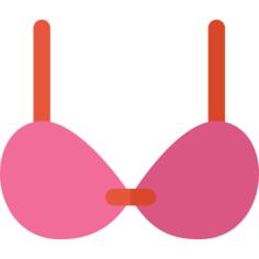 Brassiere