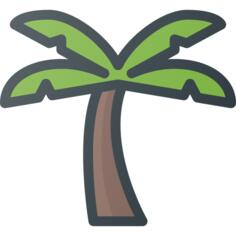 Palm tree