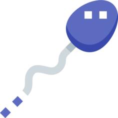 Spermatozoon