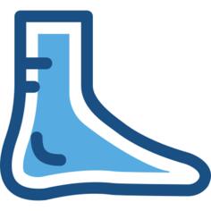 Foot