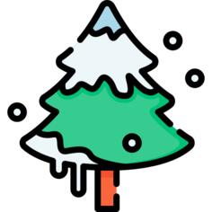 Fir