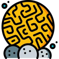 珊瑚