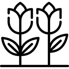 花卉