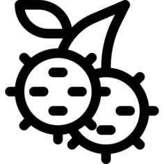 红毛丹
