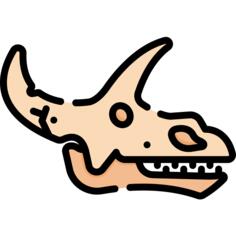 Fossil