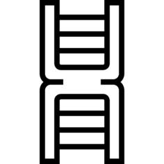 脱氧核糖核酸