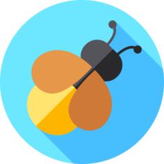 Firefly