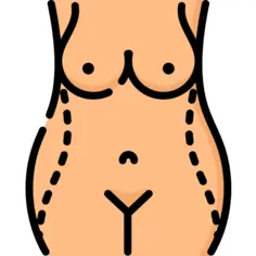 肚皮