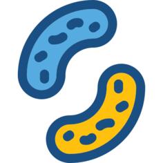 Cells