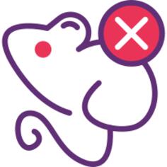 实验