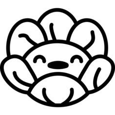 生菜
