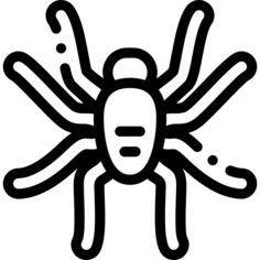 Tarantula