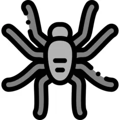 Tarantula