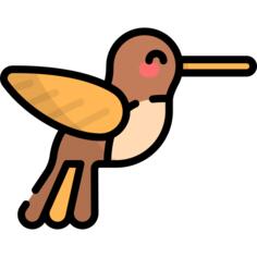 Hummingbird