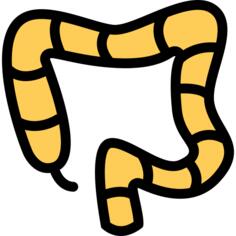 Colon