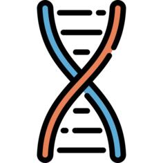 Dna