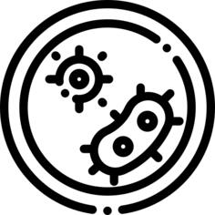 培养皿