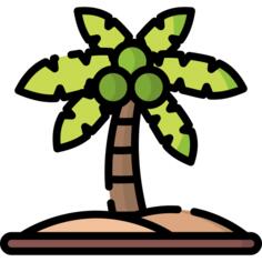 Coconut tree