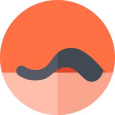 Leech
