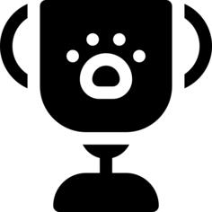 奖