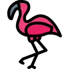 Flamingos