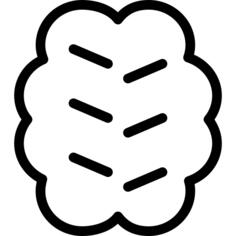 Brain