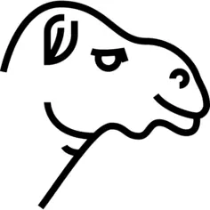 Camel