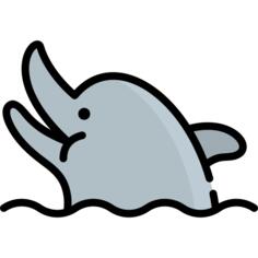 海豚