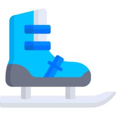 Ice skate