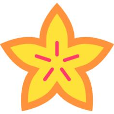杨桃