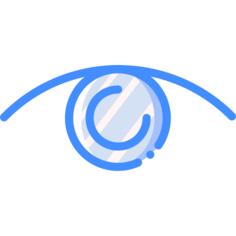 Vision