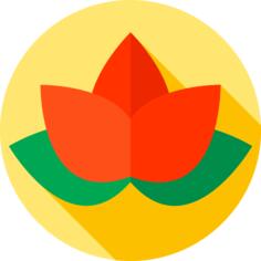 Water lily