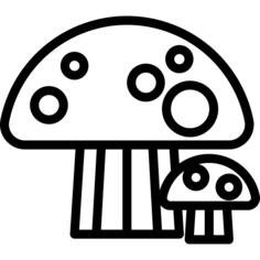 蘑菇
