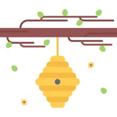 Hive