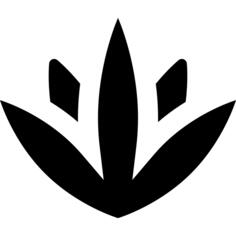 Agave