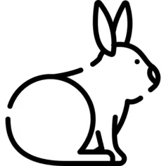 兔子