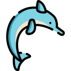 Dolphin