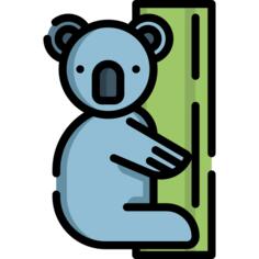 Koala