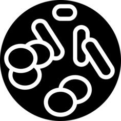 Chromosome