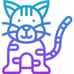 小猫