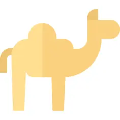 Camel